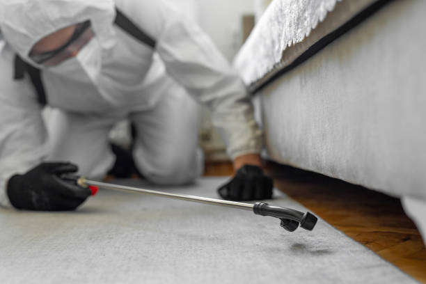 Professional Emergency Pest Control technician working in Six Shooter Canyon, AZ