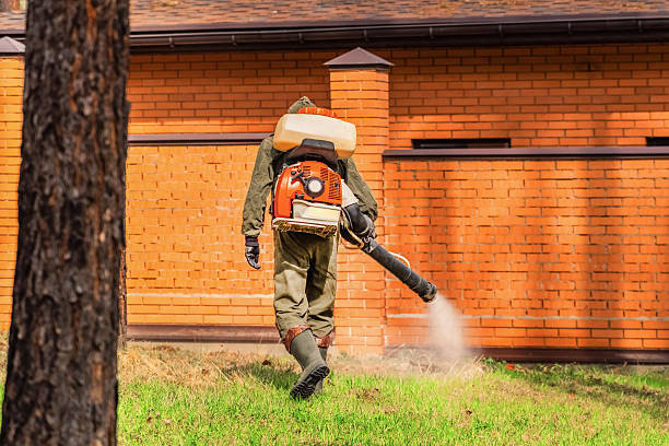 Trusted Ant Control service in Six Shooter Canyon, AZ - Nex Pest Control